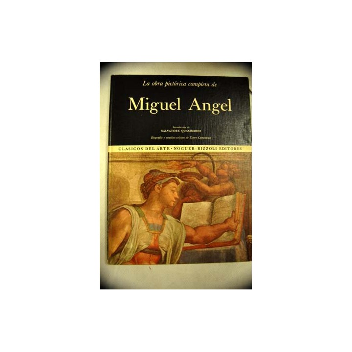 La Obra Pictórica De Miguel Ángel